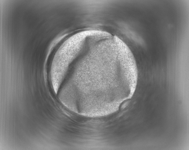 X0000065260294200603172237