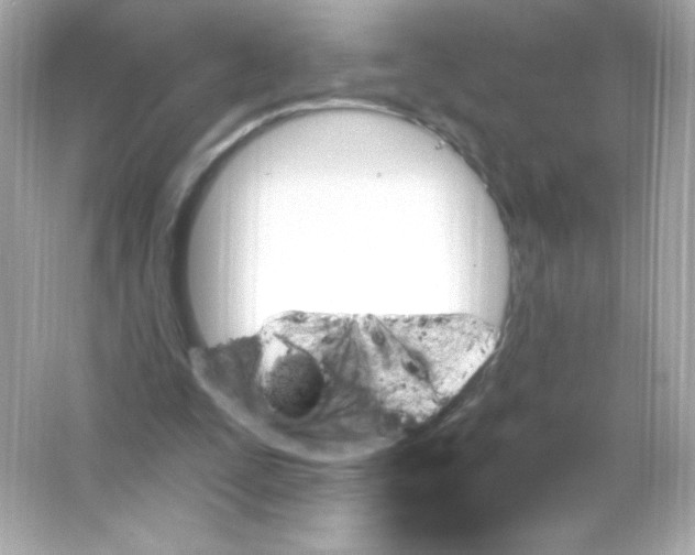 X0000065260295200603172237