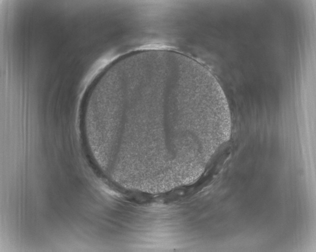 X0000065260296200603172237