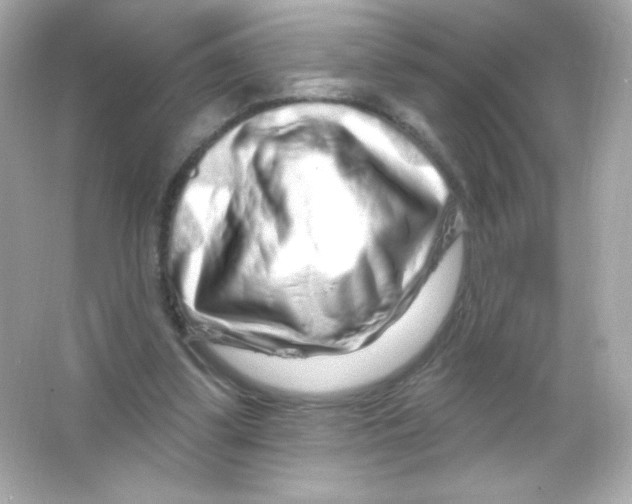 X0000065260299200603172237