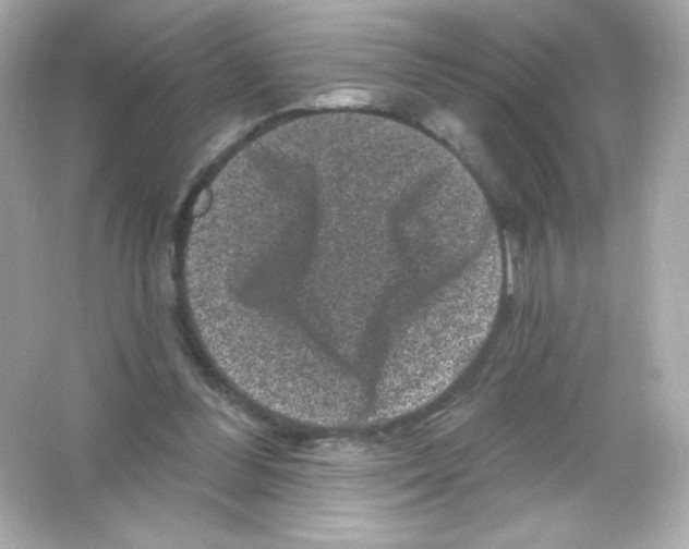 X0000065260300200603172237