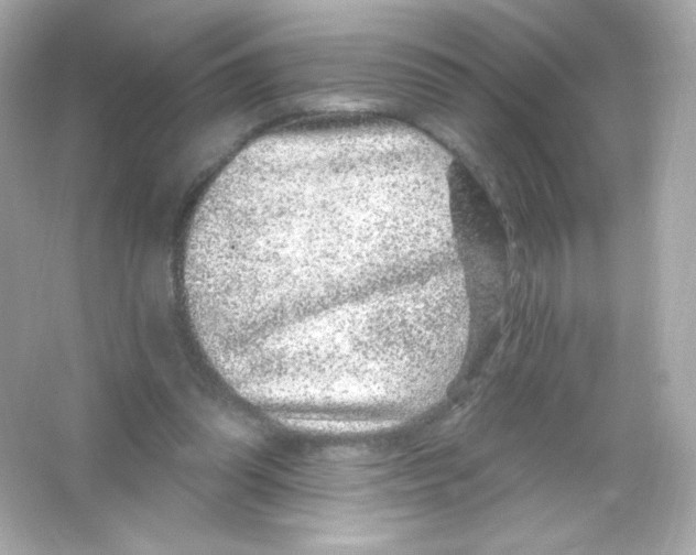 X0000065260302200603172237