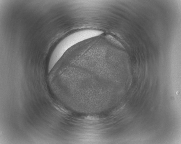 X0000065260303200603172237