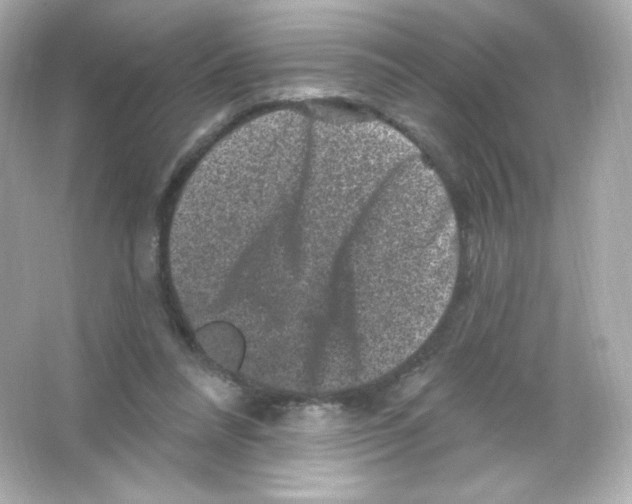 X0000065260304200603172237