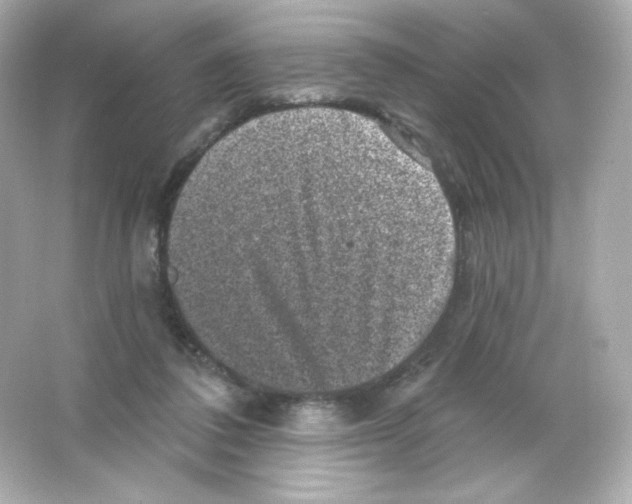 X0000065260308200603172237