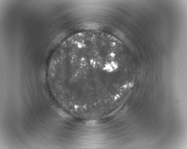 X0000065260309200603172237