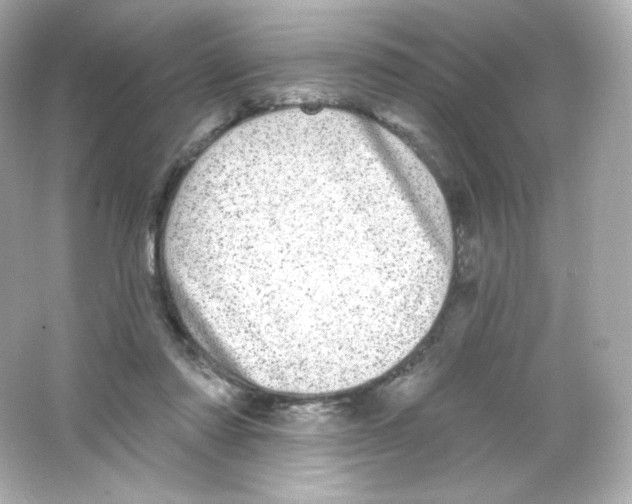 X0000065260310200603172237