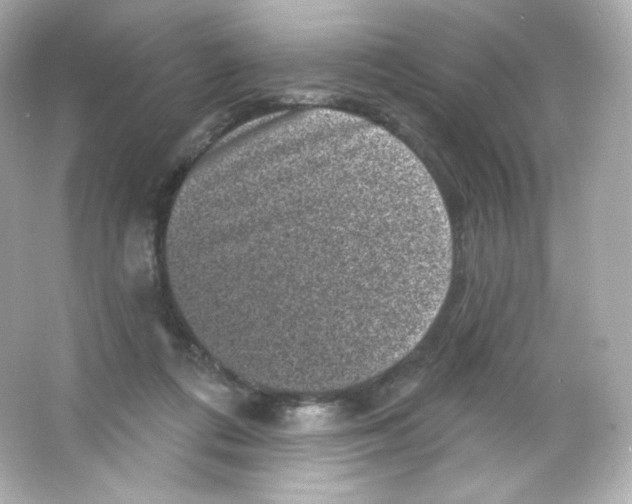 X0000065260312200603172237