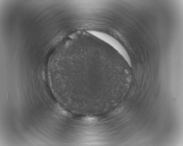 X0000065260313200603172237