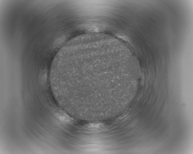 X0000065260314200603172237