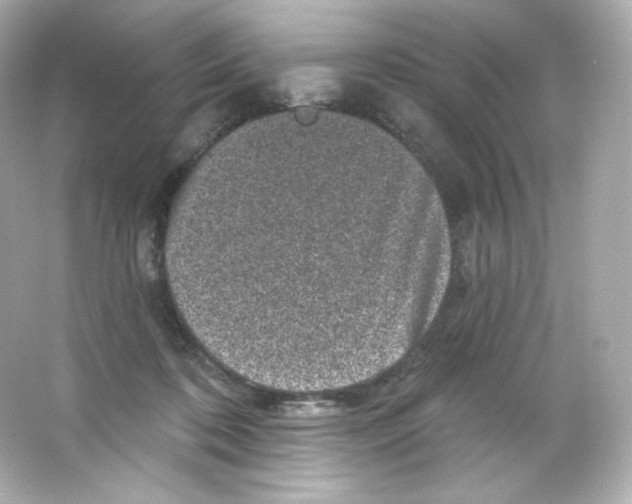 X0000065260316200603172237