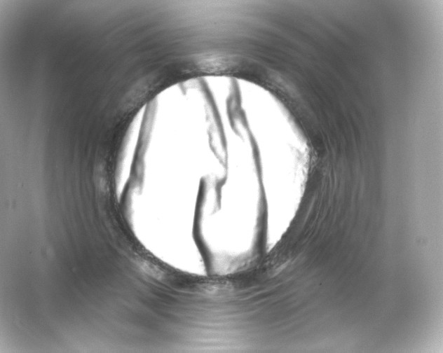 X0000065260317200603172237