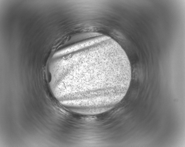 X0000065260318200603172237