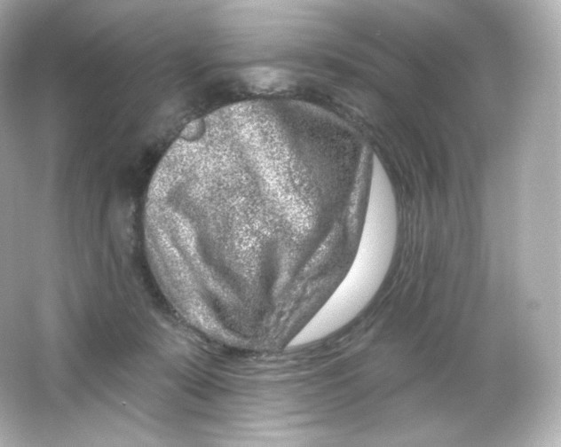 X0000065260319200603172237