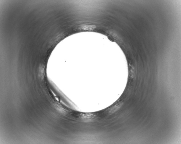 X0000065260321200603172237