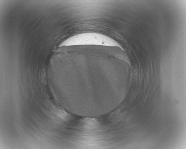 X0000065260322200603172237