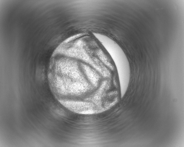 X0000065260323200603172237