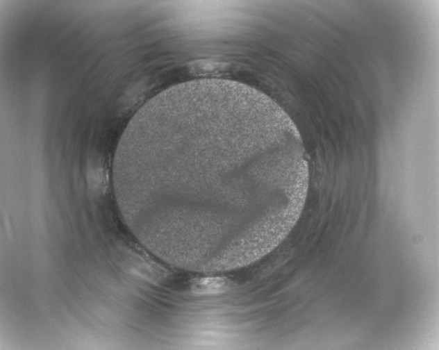 X0000065260324200603172237