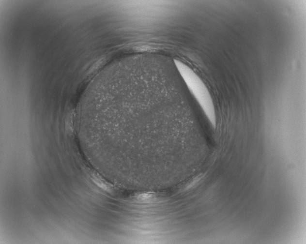 X0000065260325200603172237