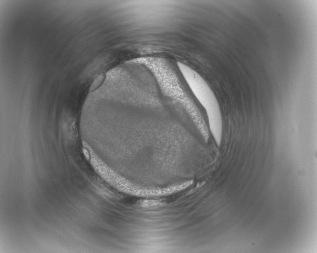 X0000065260327200603172237