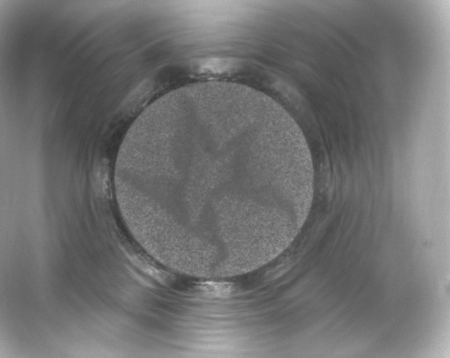 X0000065260328200603172237