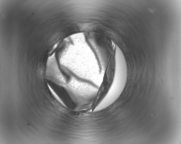 X0000065260329200603172237