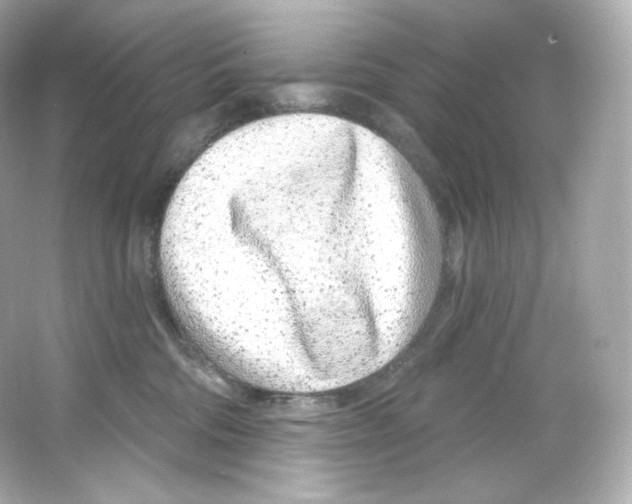 X0000065260330200603172237