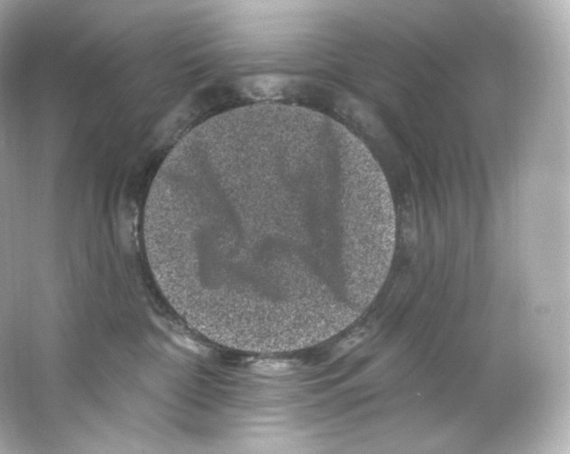 X0000065260332200603172237