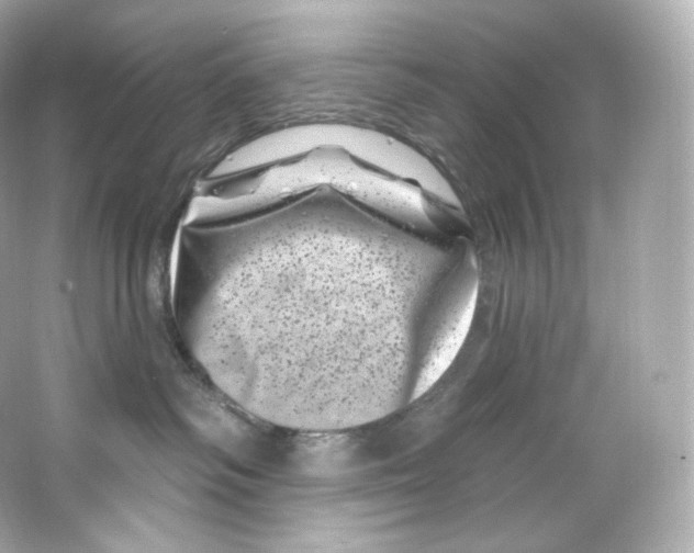 X0000065260334200603172237