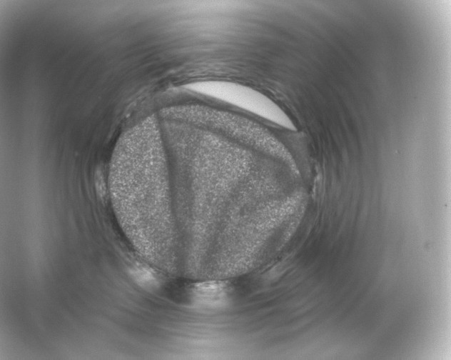 X0000065260335200603172237