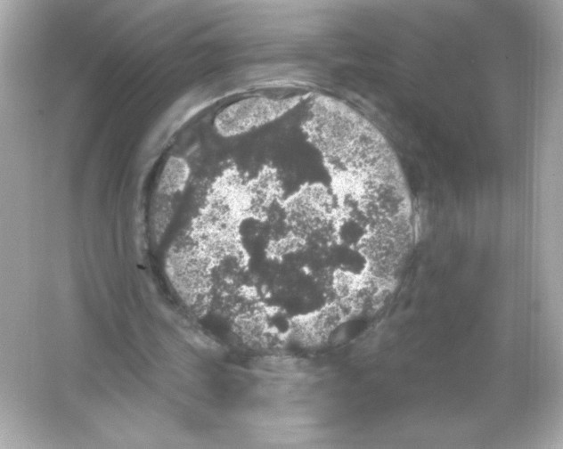 X0000065260339200603172236