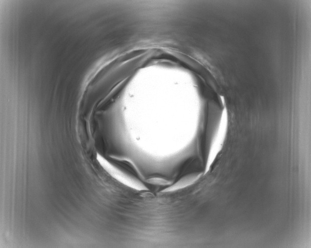 X0000065260340200603172236