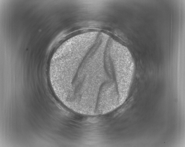 X0000065260341200603172236