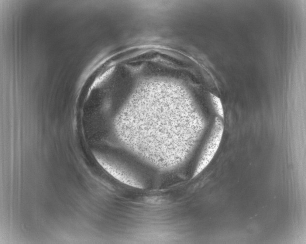 X0000065260344200603172236