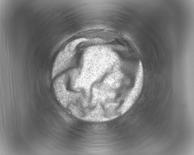 X0000065260345200603172236