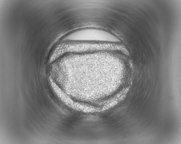 X0000065260347200603172236