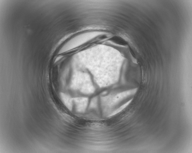 X0000065260348200603172236