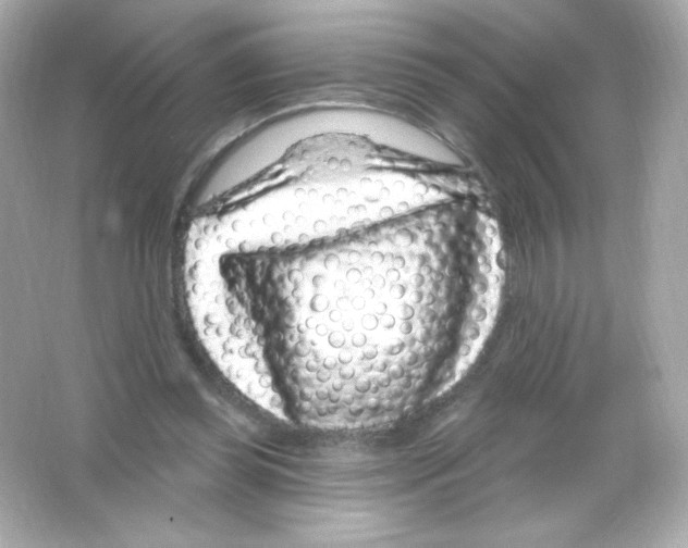 X0000065260349200603172236