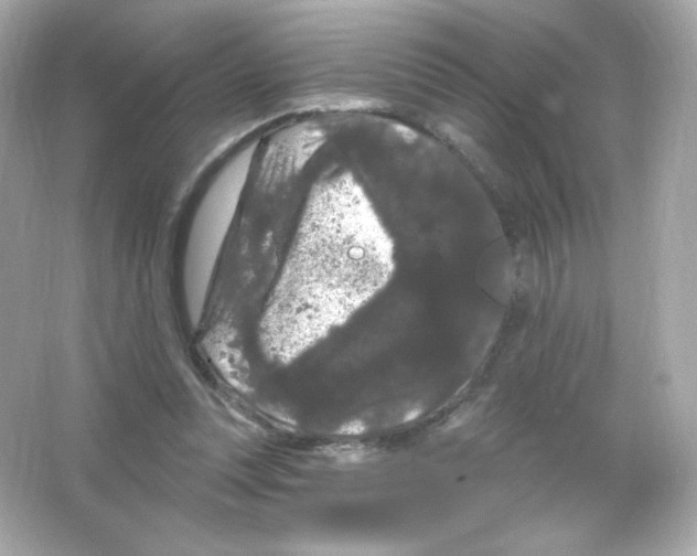 X0000065260351200603172236