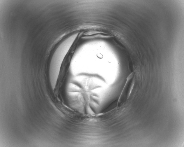 X0000065260352200603172236