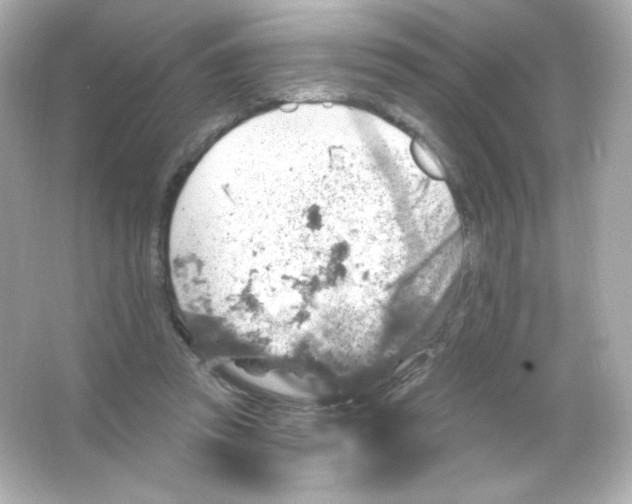 X0000065260353200603172236