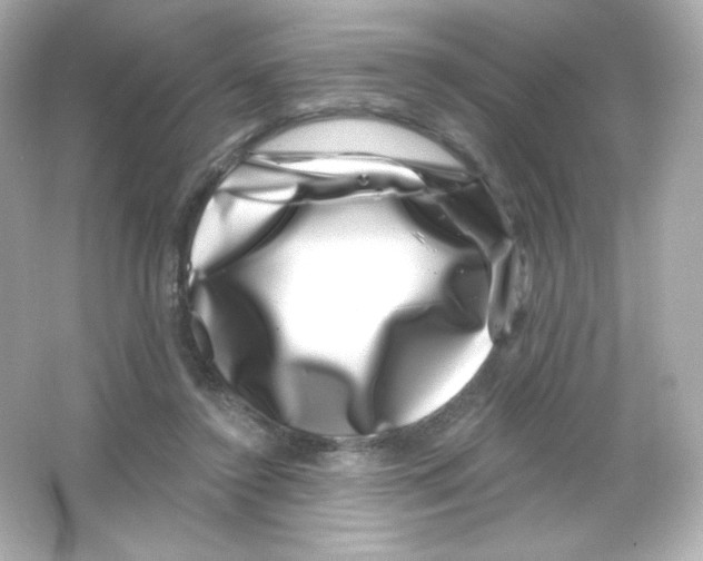 X0000065260356200603172236