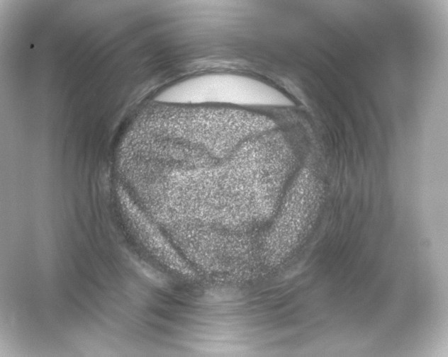 X0000065260357200603172236