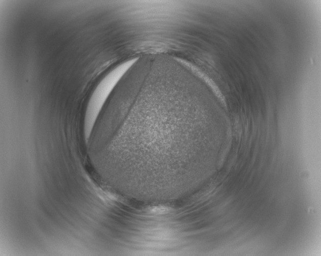 X0000065260360200603172236