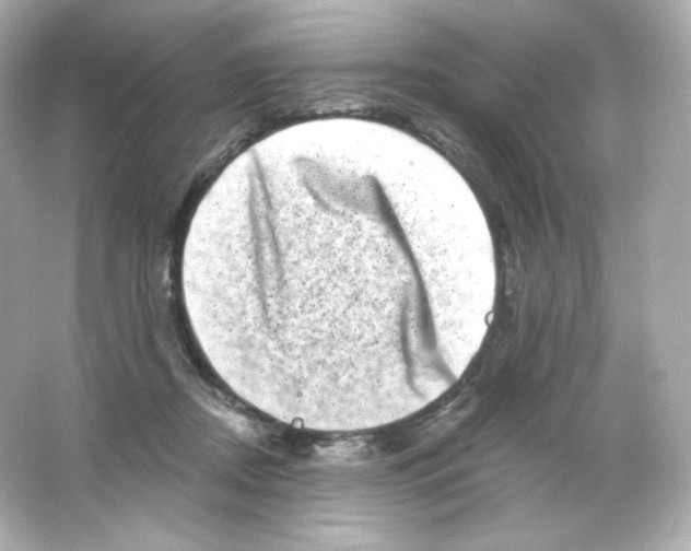 X0000065260362200603172236