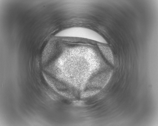 X0000065260363200603172236