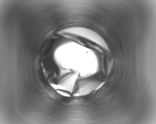 X0000065260364200603172236