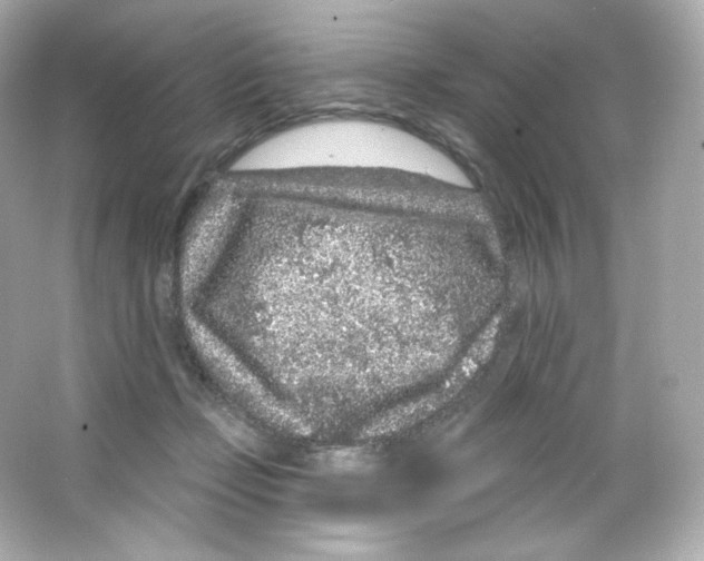 X0000065260365200603172236