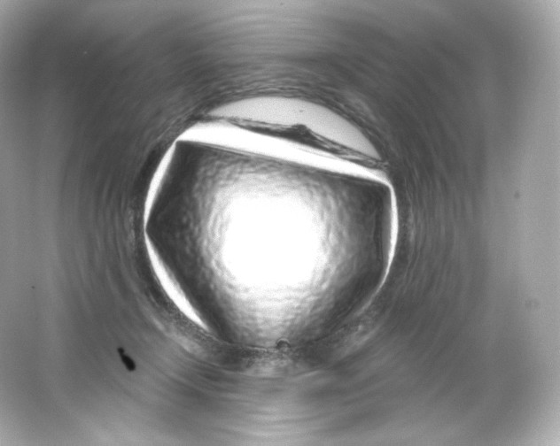 X0000065260366200603172236