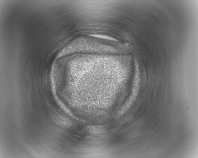 X0000065260367200603172236